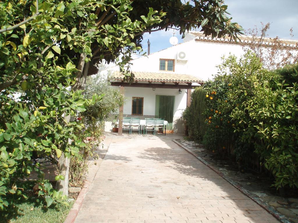 Belvilla By Oyo Casa La Palmera Villanueva de la Concepción エクステリア 写真